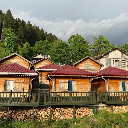 Pilita Bungalov&Rest Ayder Yaylasi Kültér fotó