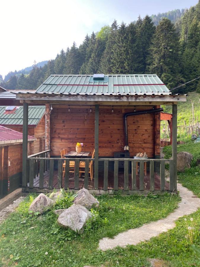 Pilita Bungalov&Rest Ayder Yaylasi Kültér fotó