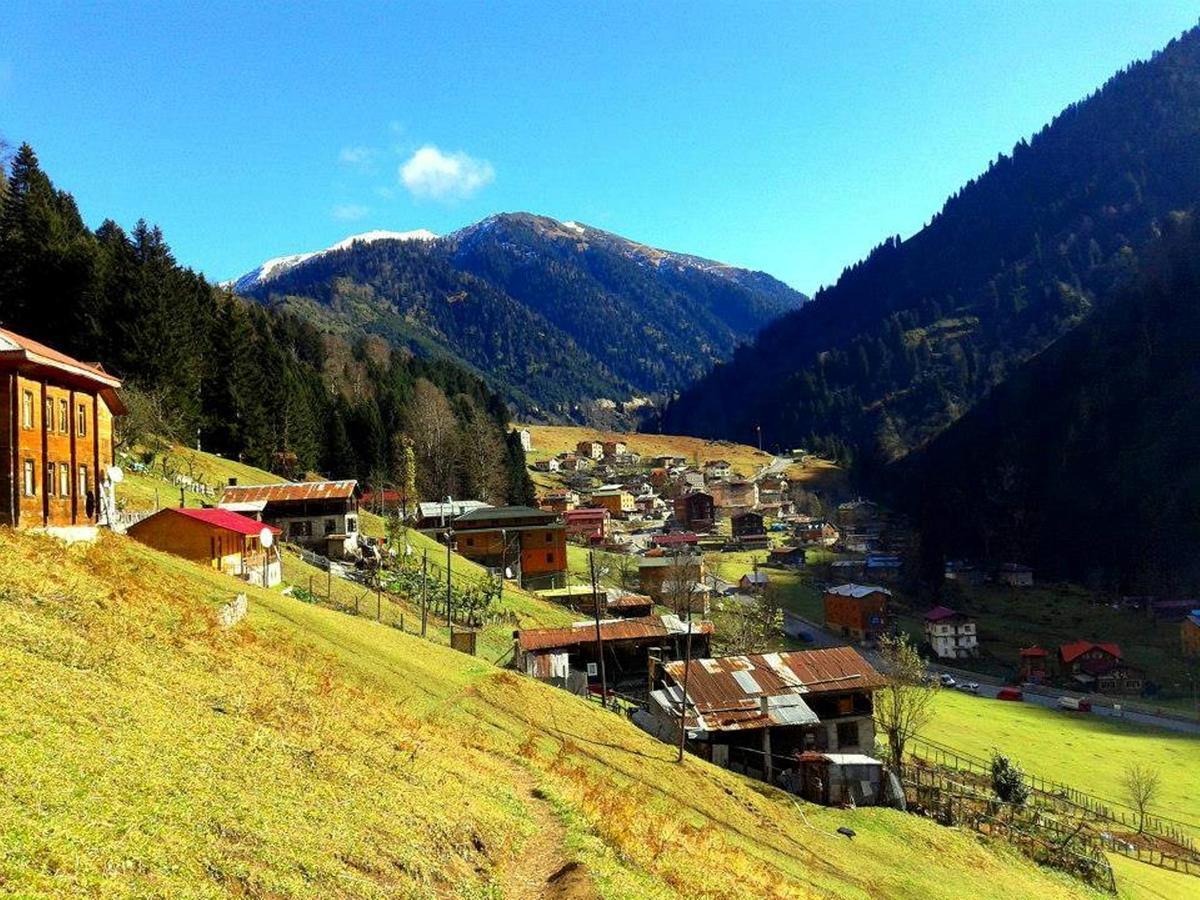 Pilita Bungalov&Rest Ayder Yaylasi Kültér fotó