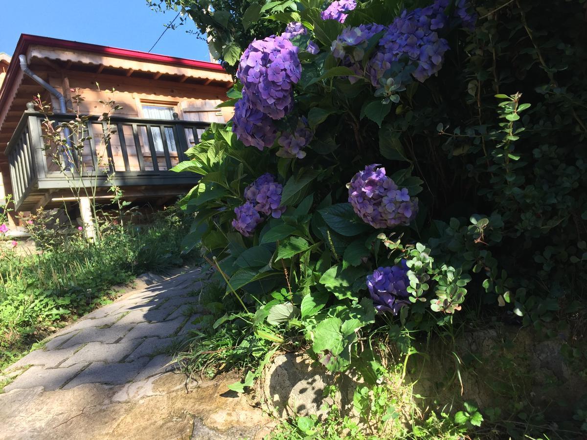 Pilita Bungalov&Rest Ayder Yaylasi Kültér fotó